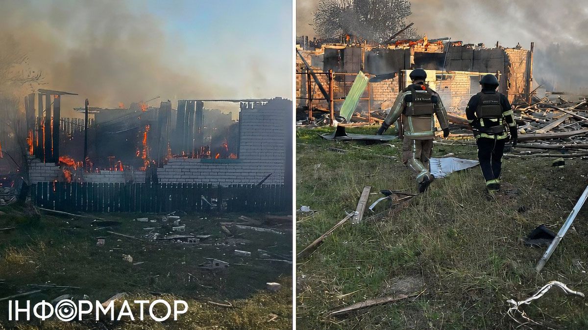 РФ атакувала Чернігівщину Геранями і Герберами - загинула худоба та пошкоджено корівник