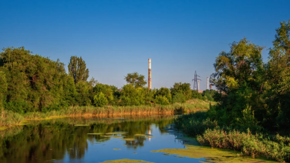 Река Кривой Торец. Фото: instagram.com/metro275_photo Река Кривой Торец. Фото: instagram.com/metro275_photo