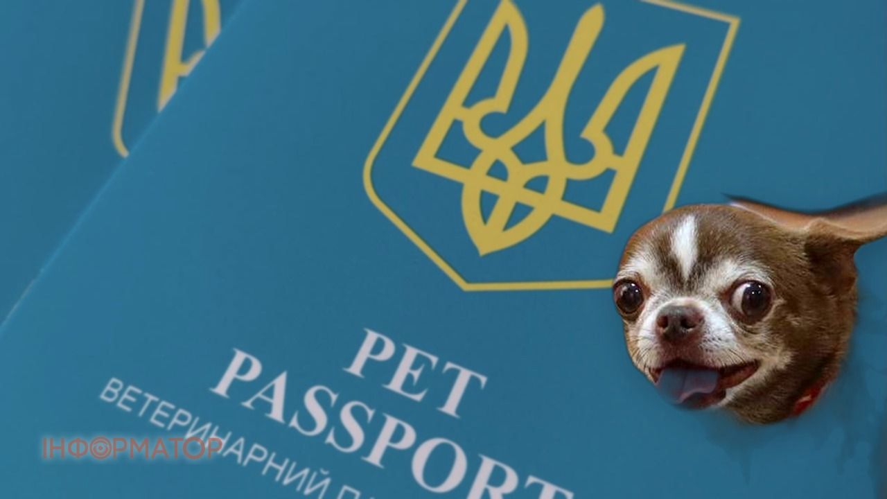 Ветеринарний паспорт в Україні змінився