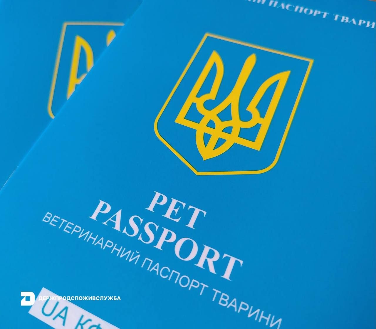 Новый ветеринарный паспорт Новый ветеринарный паспорт