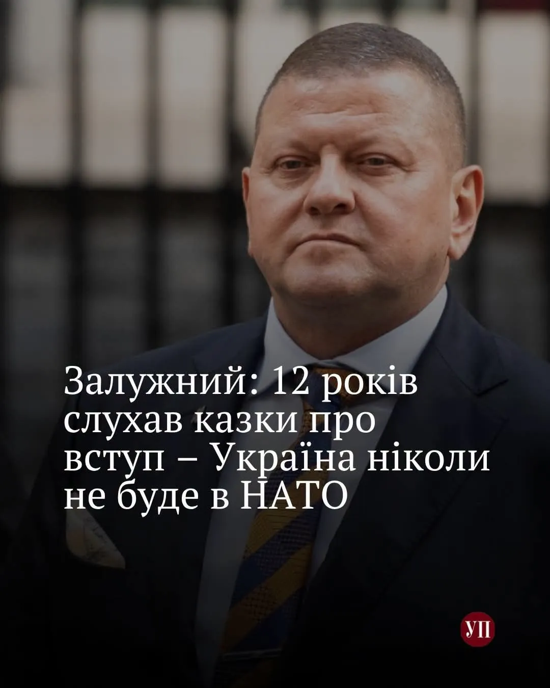 Внутрішній ватник - Безугла різко розкритикувала Залужного через його заяву про НАТО 1