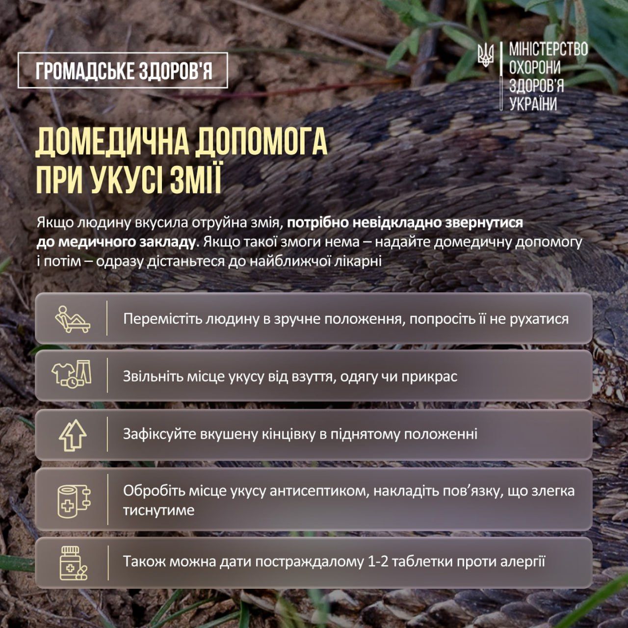 источник: Минздрав источник: Минздрав