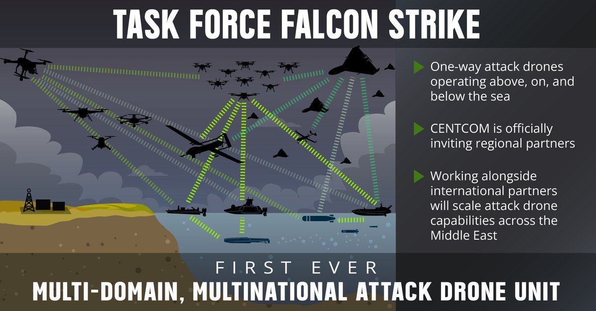 Многодоменная группа ударных беспилотников под названием Falcon Strike БПЛА