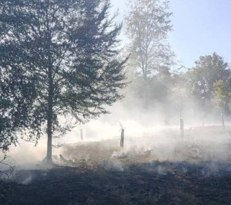 пожежа в Бельгії