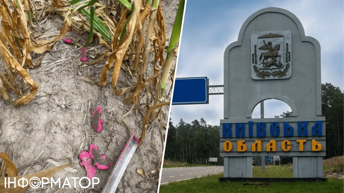 В Киевской области российские БпЛА разбрасывают противопехотные мины Лепесток - саперы