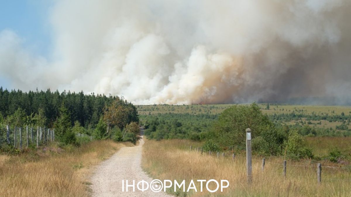 Масштабна лісова пожежа з Бельгії підбирається до Німеччини