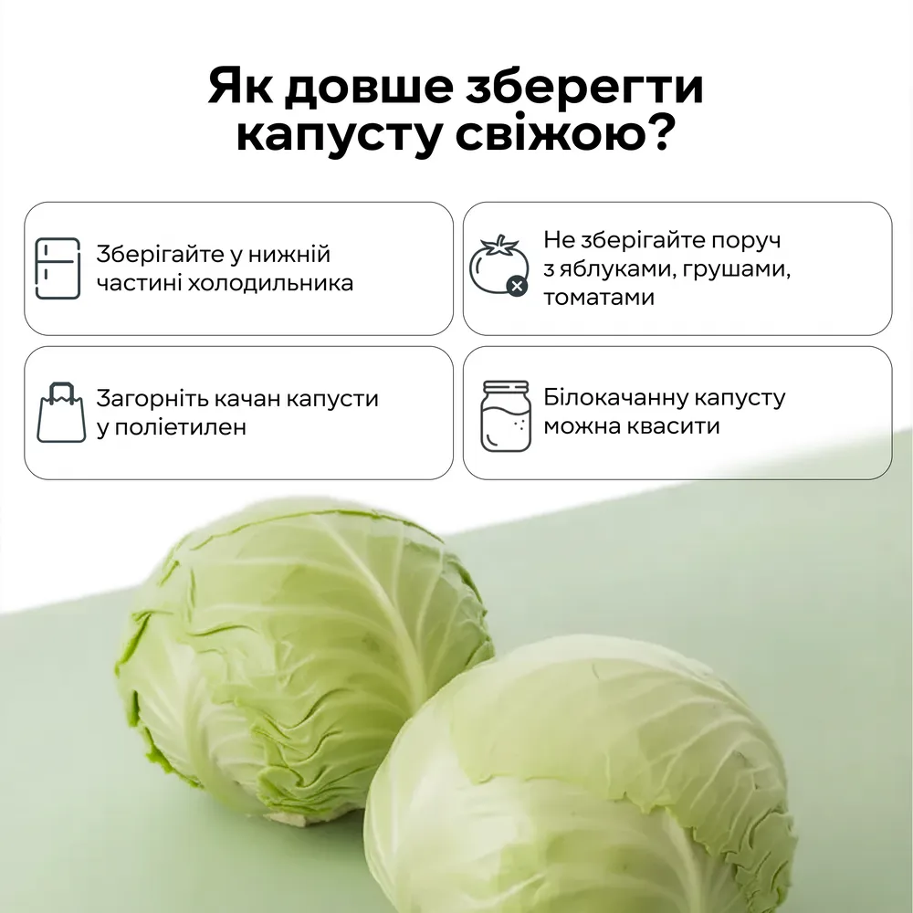 Капуста Фото: Сельпо