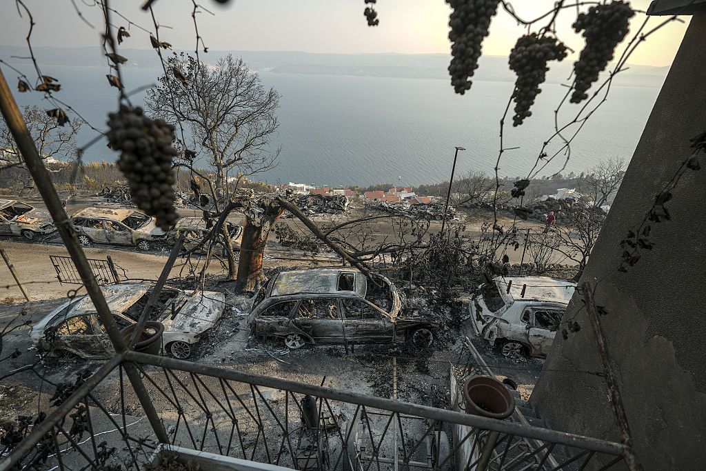 Так выглядят последствия пожаров в Хорватии. Фото: Getty Images Так выглядят последствия пожаров в Хорватии. Фото: Getty Images