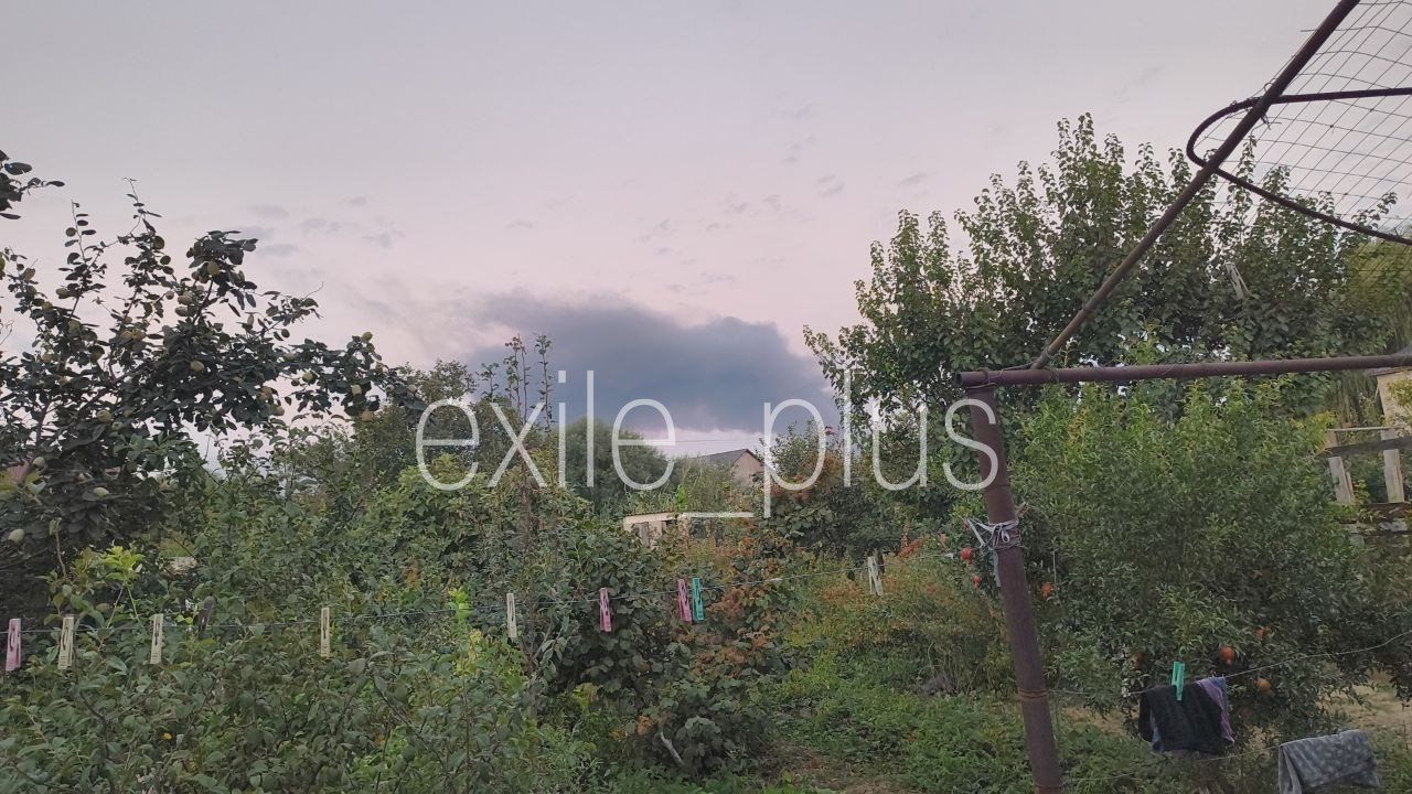 Фото: t.me/exile_plus