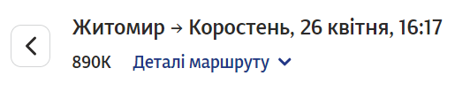 Электронный билет на поезд Электронный билет на поезд