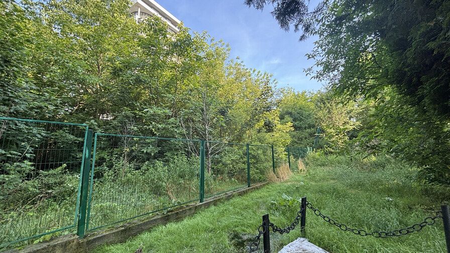 На территории старого Голосковского кладбища во Львове продолжаются совместные украинско-польские эксгумационные работы, источник: Львовский городской совет На территории старого Голосковского кладбища во Львове продолжаются совместные украинско-польские эксгумационные работы, источник: Львовский городской совет