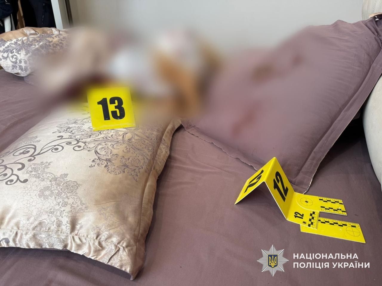 Жінка загинула від рук власного сина. Вбивство