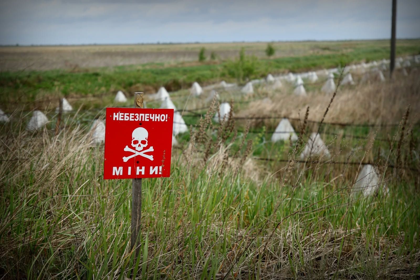 Граница с Беларусью, фото: Оперативное командование "Запад"