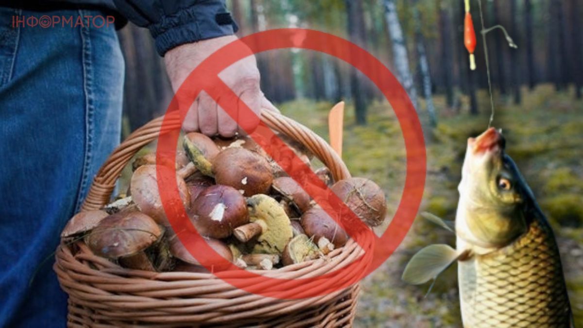 Ограничение Кременчугский район