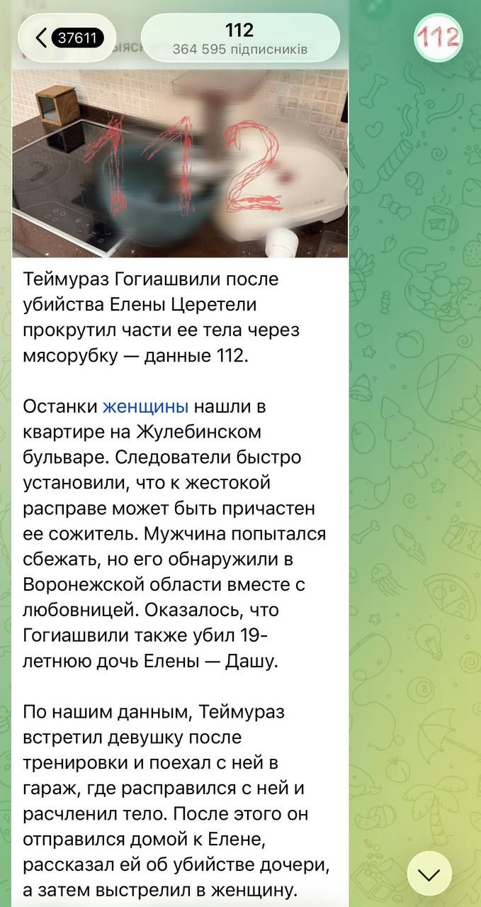 РосЗМІ про злочин Гогіашвілі РосЗМІ про злочин Гогіашвілі