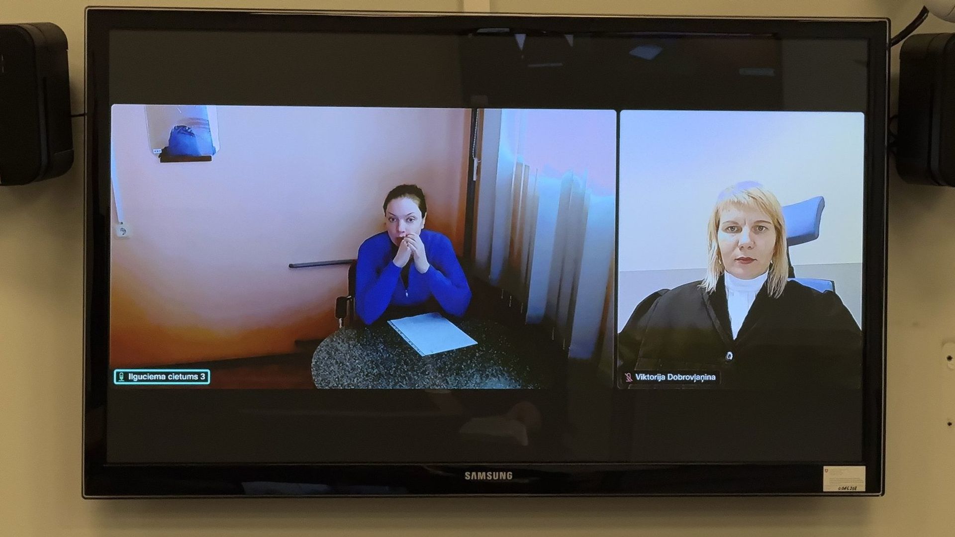 Прокремлівська активістка брала участь у процесі віддалено