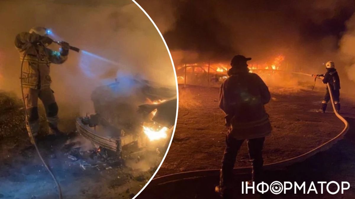 Обстріл Одещини - постраждав притулок для тварин, згоріли понад 10 автомобілів