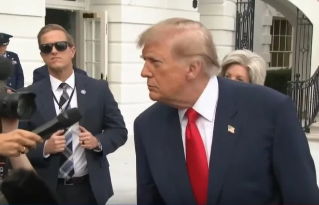 Трамп Трамп