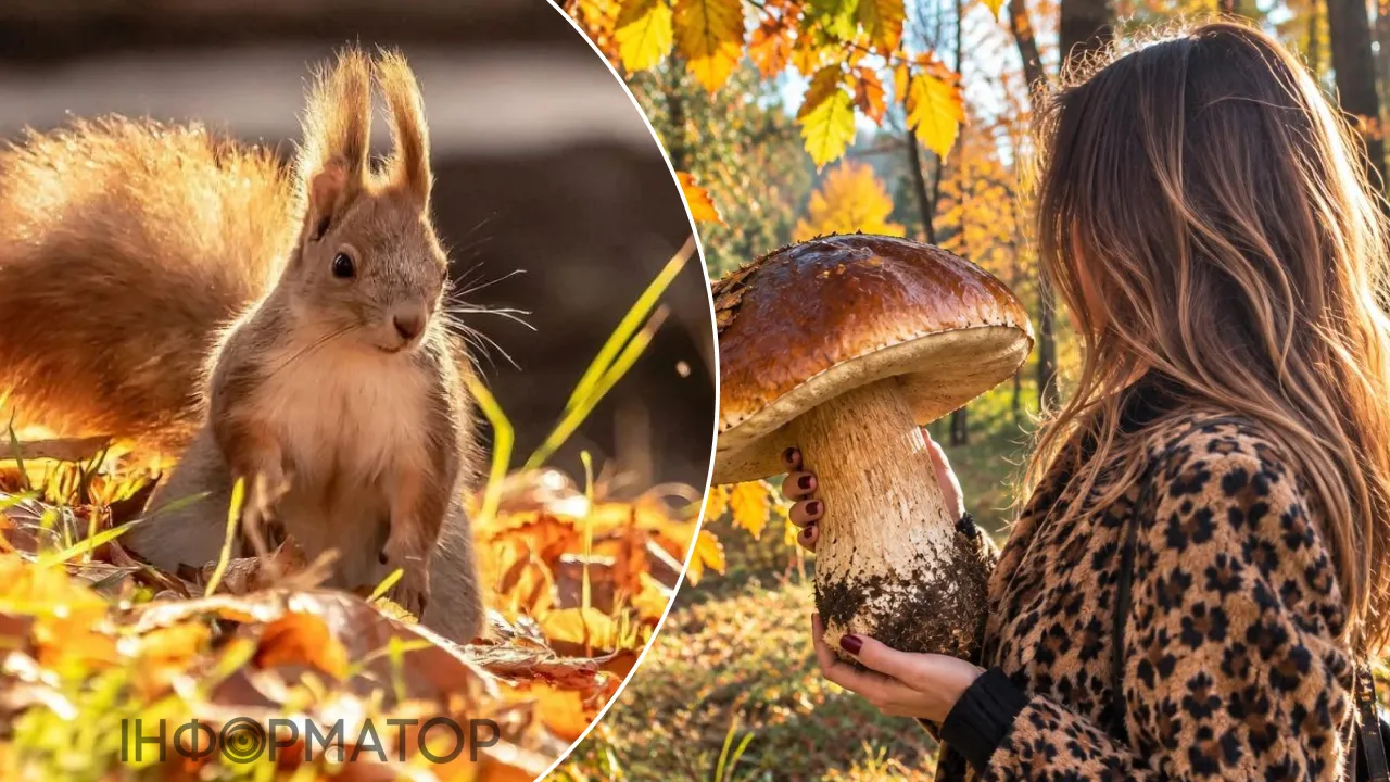 теплая осенняя погода
