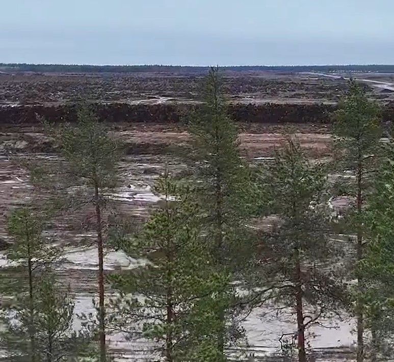 Фото: скриншот з відео
