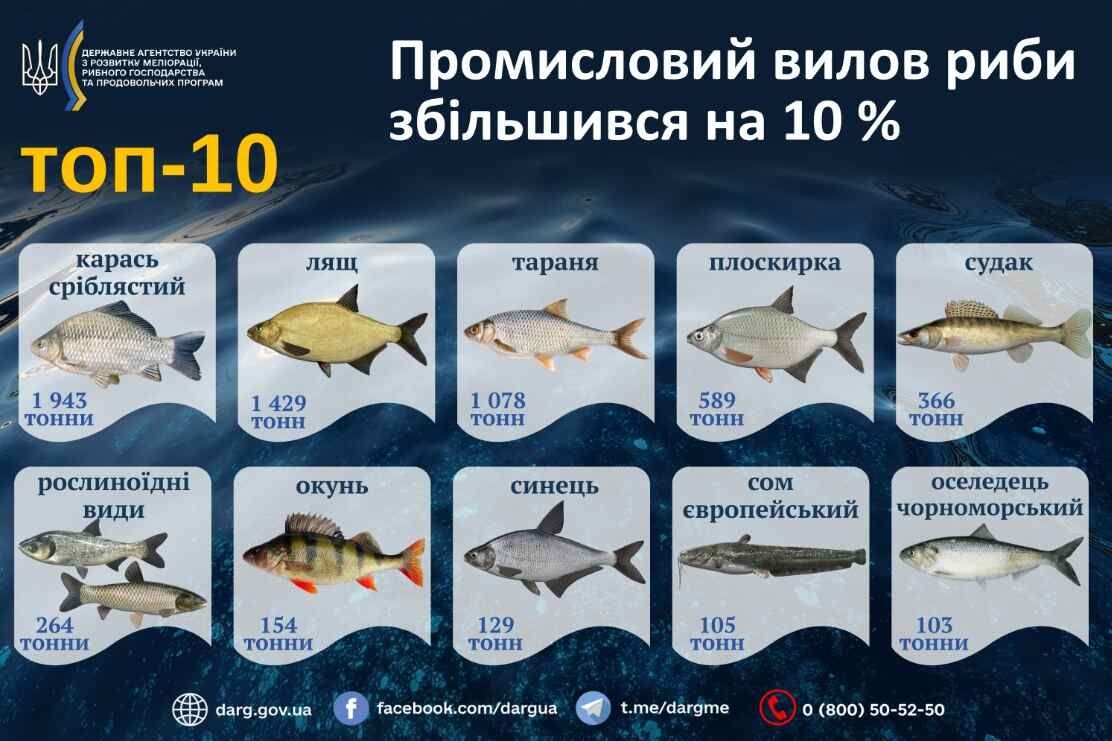 Промысловый лов рыбы Промысловый лов рыбы