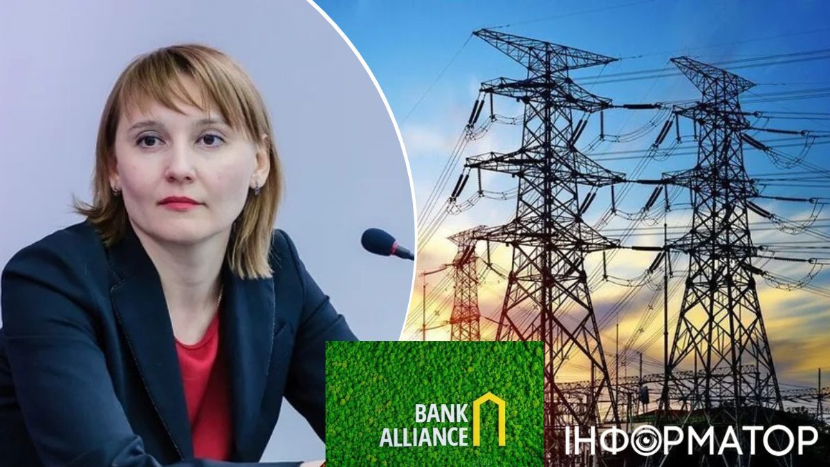НАБУ розшукує ексголову правління Банку Альянс Фролову - все через втрачені 716 млн грн Укренерго
