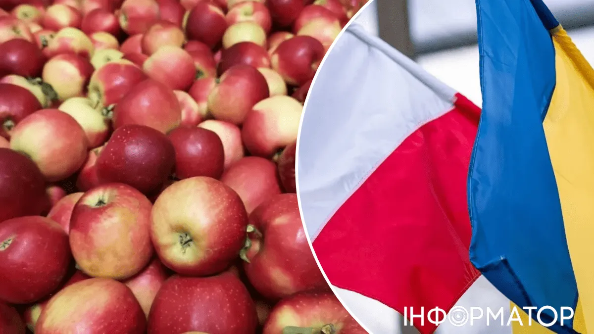 В Польше остановили партию яблок из Украины из-за превышения норм пестицидов – показатель превысил норму в 8,6 раза