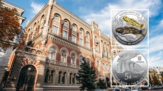 В Украине появятся новые памятные монеты: что на них изображено