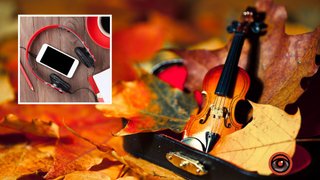 Вирусные треки и эмоциональные композиции: топ-10 хитов, которые слушали украинцы на этой неделе