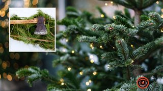 В Украине втрое выросли штрафы за нелегальную вырубку елок перед новогодними праздниками