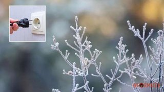 Сильные морозы и нагрузка на сети: украинцев призывают экономить электроэнергию