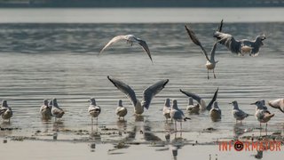 В Украину придет антициклон Heiko: какую погоду он принесет