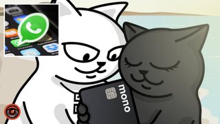 «Готово»: у monobank додали підтримку клієнтів через WhatsApp