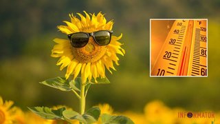 "Накроет" ли Украину аномальная жара летом: что говорят синоптики