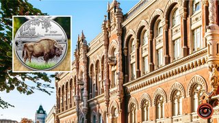 Символ відродження фауни: НБУ випустив пам'ятну монету, присвячену чорнобильському зубру