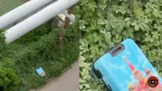 У Дніпрі неподалік «Вавилону» у дворах виявили валізу із малюнком кремля: територію відгородили, деталі від поліції