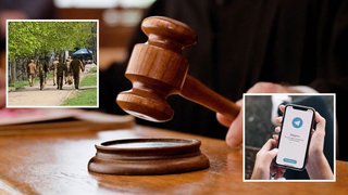 Як покарали мешканця Павлограда, який публікував у Telegram місця перебування військовослужбовців ТЦК