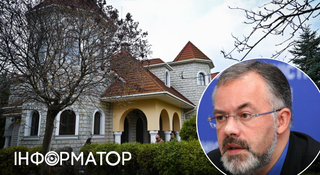 З родинним гербом і левами: під Києвом продадуть маєток ексміністра освіти Дмитра Табачника