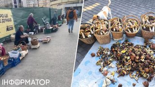 Грибове безумство. На базарах і стихійних ринках продають оберемки білих і маслят, але боже збав їх купувати