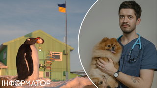 Яке сьогодні, 25 квітня, свято: День пінгвінів та ветеринара