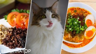 Прихильникам здорового харчування показали шість доступних джерел білка