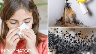 В ванной появилась плесень: если черная, то вам не повезло