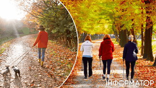 З користю прогулянок не все просто: краще багато коротких, чи одна довга