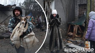 Росіяни ранковим ударом по Запоріжжю пошкодили притулок для собак: тварини постраждали