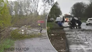 Масштабна негода вдарила по Україні: вітер валить дерева й зриває дахи — фото