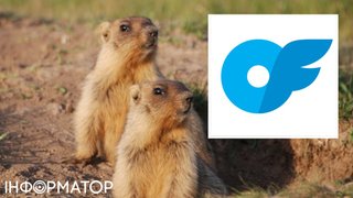 Науковці з Каліфорнії створили OnlyFans з бабаками - для чого