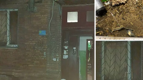 В Кривом Роге мужчина взорвал гранату в квартире и погиб