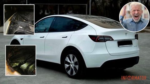 Розлютила сусідська Tesla під вікнами: у Кривому Розі 62-річний пенсіонер побив сокирою і підпалив електрокар