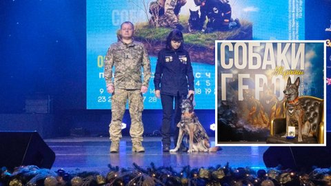 Бельгийская овчарка Спарки из Павлоградского поисково-спасательного кинологического отряда "Антарес" стала "Собакой-героем Украины"