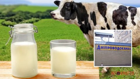“Дніпроводоканал” решил приобрести молоко и сливки более полумиллиона гривен